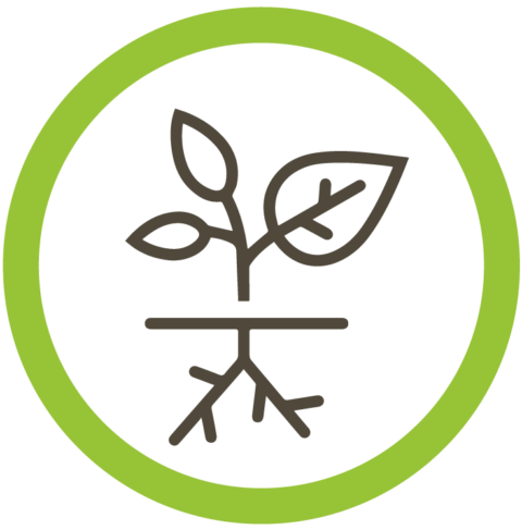 Biostimulants: Definition, Composition, Benefits, and Applications